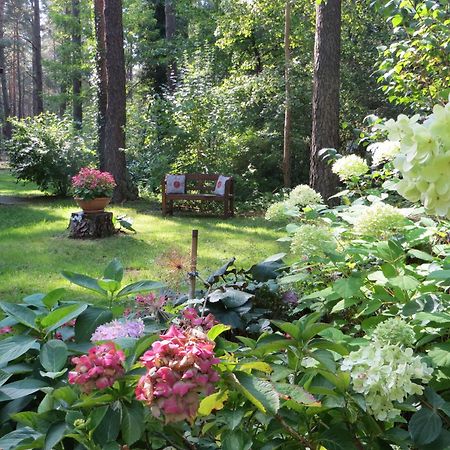 Kastavengrund - Ferienhaeuser Mit Kamin Lychen Kültér fotó