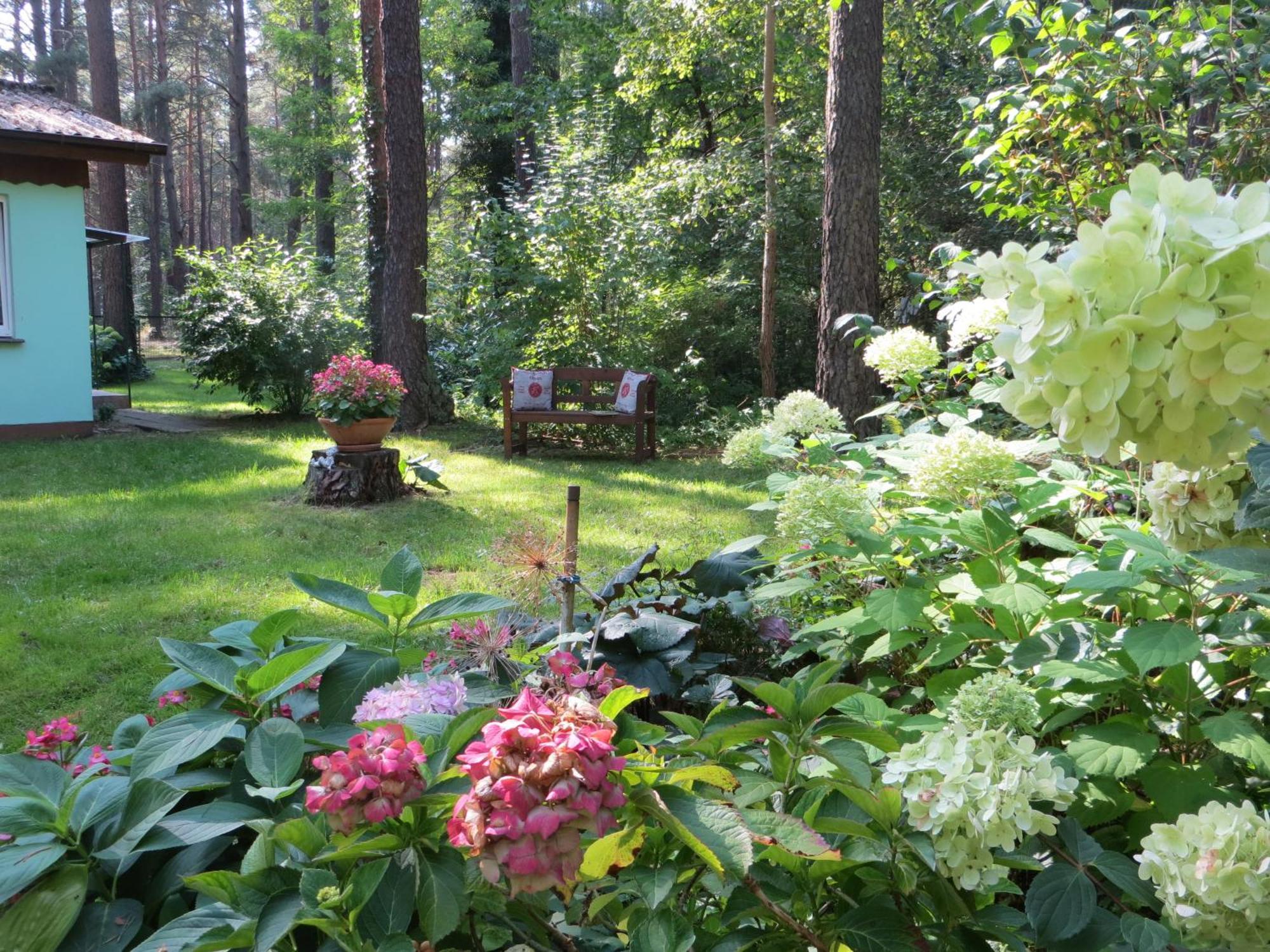 Kastavengrund - Ferienhaeuser Mit Kamin Lychen Kültér fotó